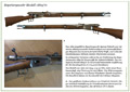 Repetiergewehr Modell 1869/71